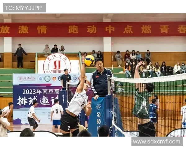 重庆排球队的训练与竞技状态全景揭秘展现排球魅力与团队精神