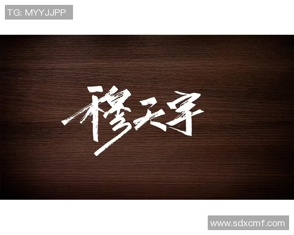 杭州排球队的蜕变之旅：从传统强队到现代化竞技新星的成长故事